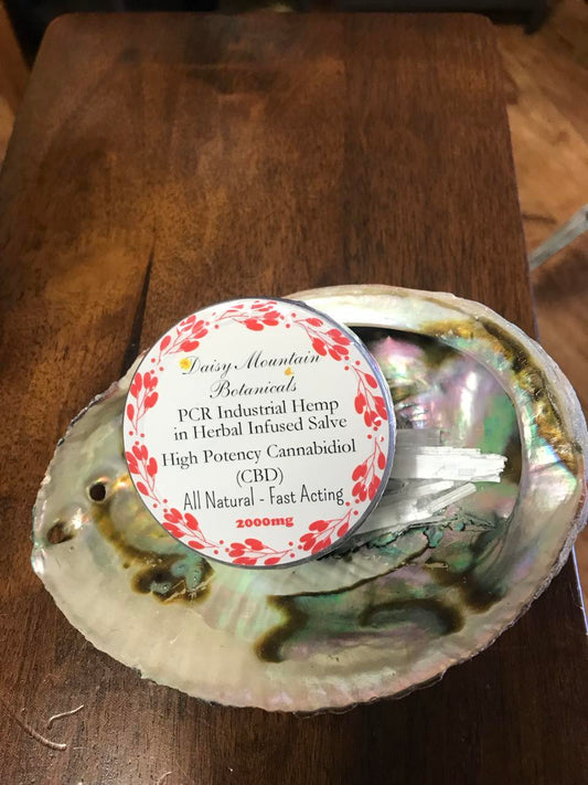 CBD 2000mg Salve Daisy Botanicals 2oz