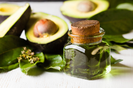 Avocado Kernel Oil