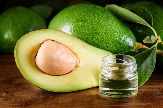 Avocado Kernel Oil