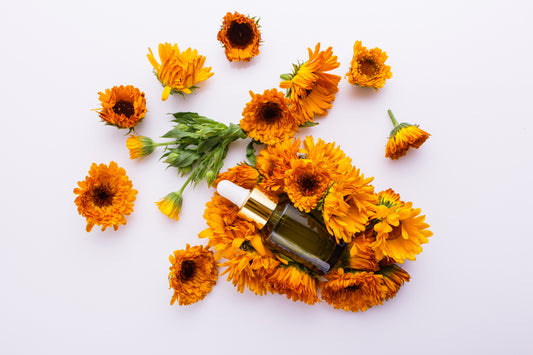 Arnica Oil