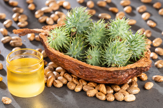 Castor Seed Oil