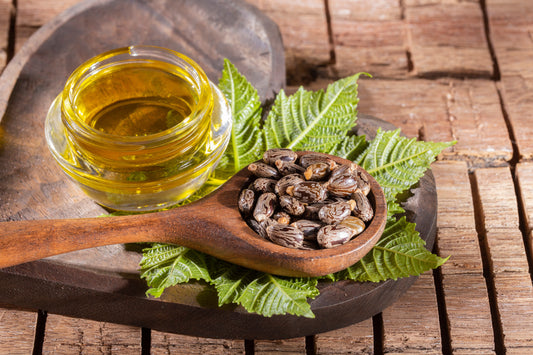 Castor Seed Oil