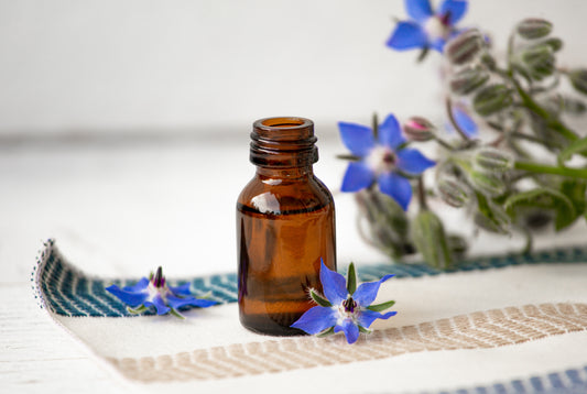 Borage Seed/Starflower Organic Oil