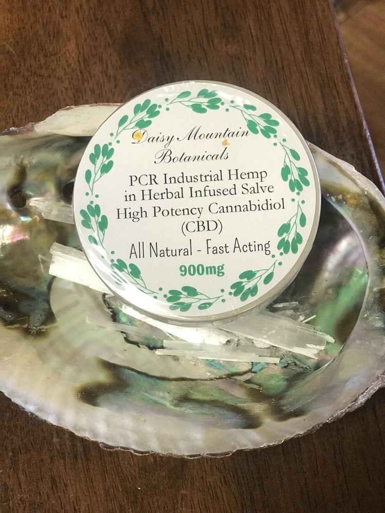 CBD 900mg Salve Daisy Botanicals 2oz