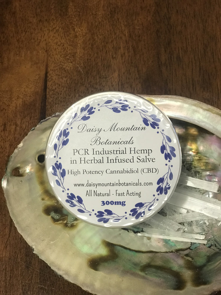CBD 300mg Salve Daisy Botanicals 2oz