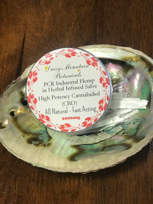 CBD 2000mg Salve Daisy Botanicals 2oz