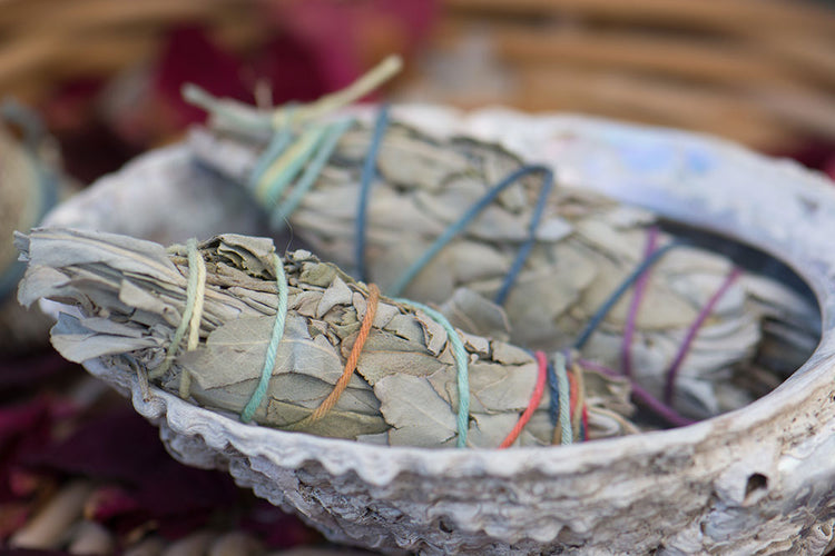 Mini White Sage 1 bundle