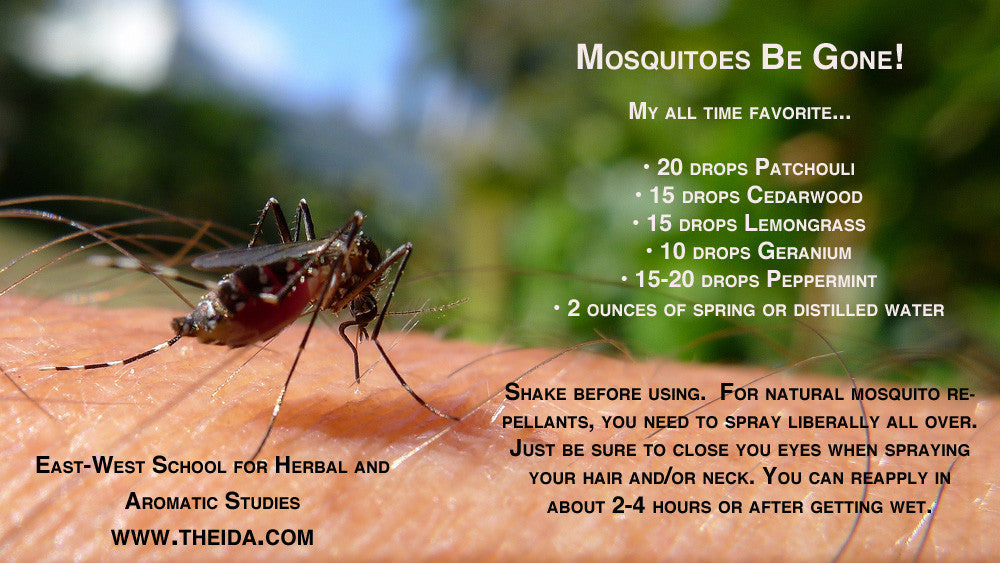 All Natural Mosquito Repellent using Essential Oils